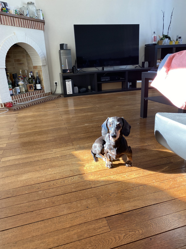 [Image: IMG-4549.jpg]