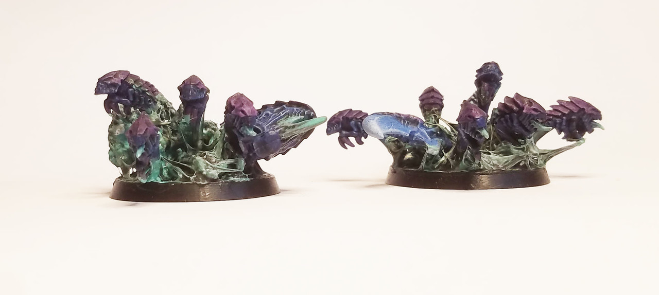 261002340_10159666391822866_7814665016433055055_n