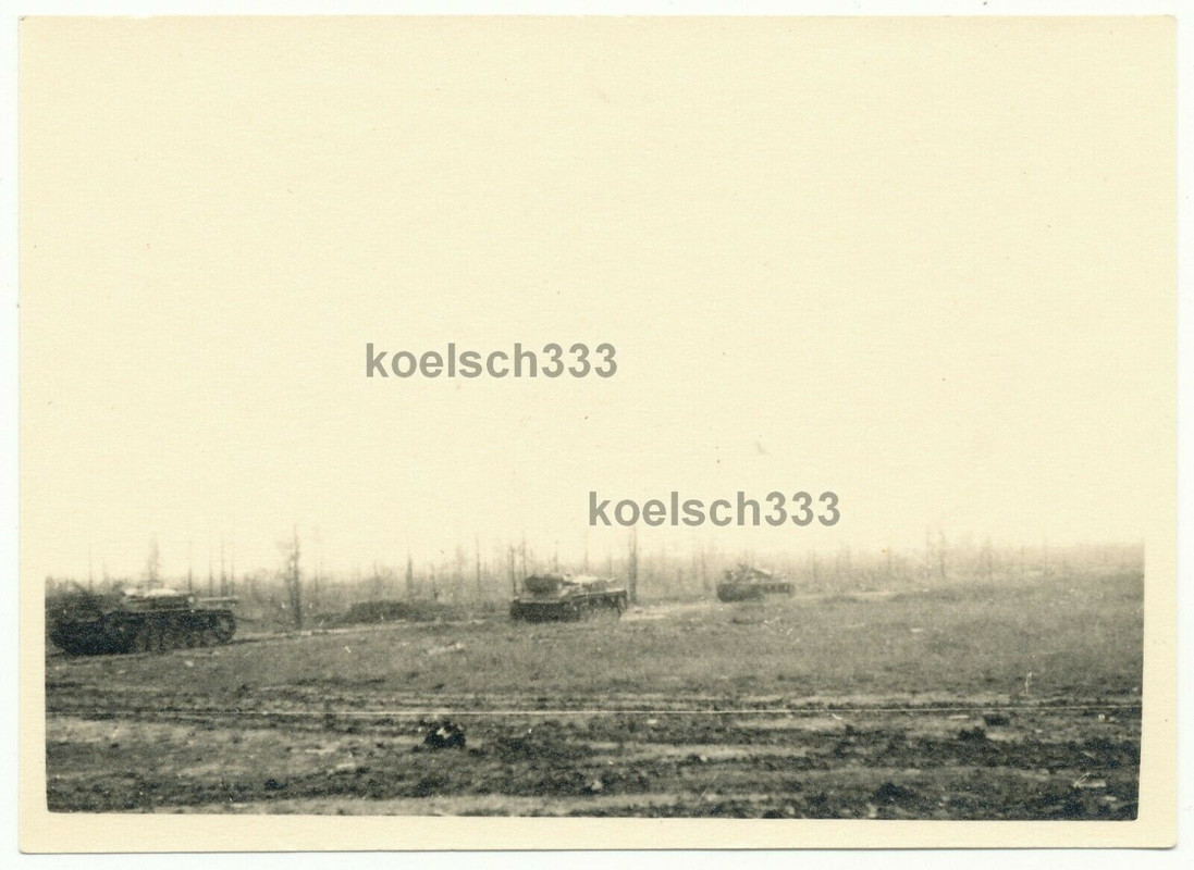 Foto Sturmgeschütze auf dem Marsch an der Luga Front ! Wehrmacht