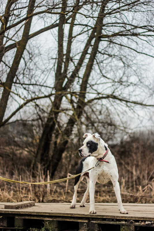 без имени-0348