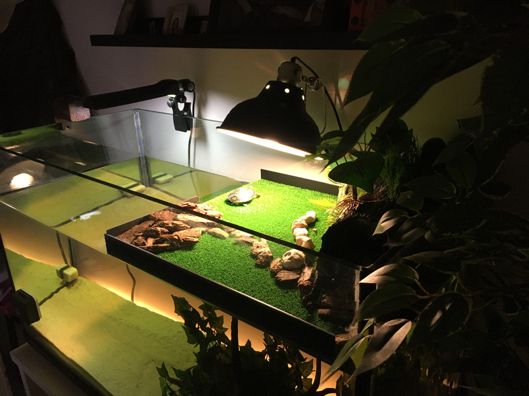 DF1ECC76-5316-4792-A3BC-1C74C2569D91