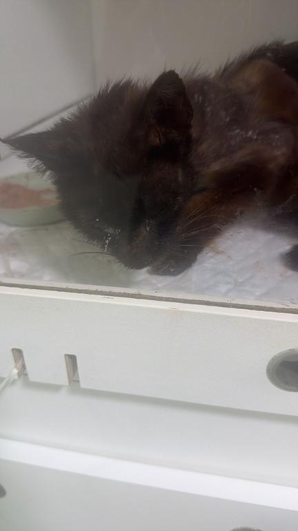 f0375c4b de03 4ddb 85b3 2978ed83fa95