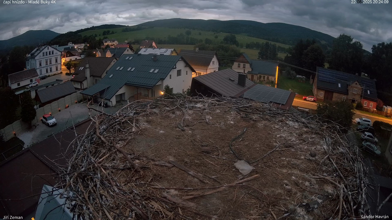 Živá kamera - Mladé Buky - čapí hnízdo 4K 12-25-26 screenshot