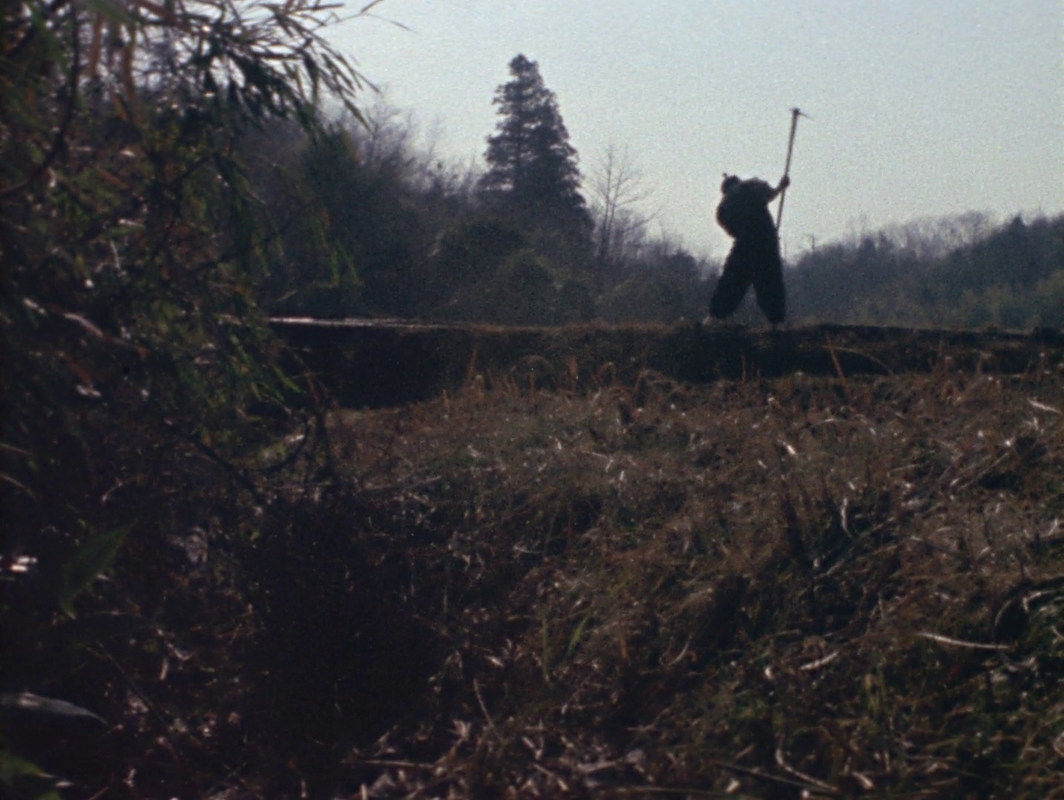 vlcsnap-2025-06-08-02h31m51s881