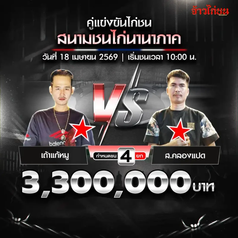 โปรแกรมไก่ชน สนามชนไก่นานาภาค 18 เมษายน 2569 เถ้าแก้หมู vs ส.คลองแปด