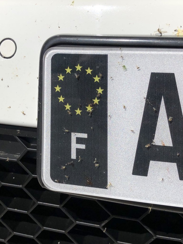 D40614DB-96E7-422E-9885-C7299A5EE050