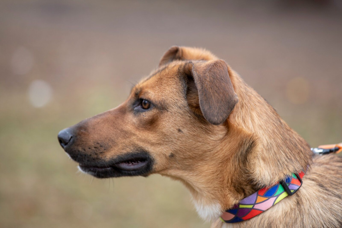 изображение_viber_2022-01-20_12-15-21-432