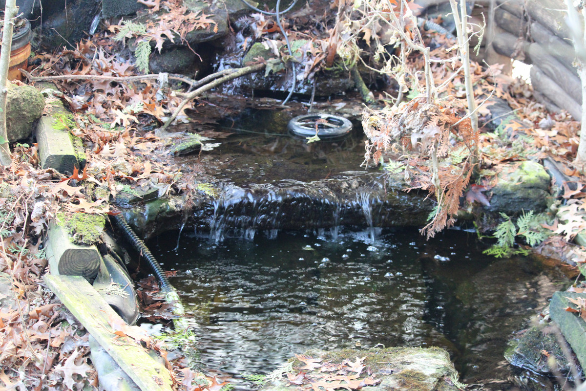IMG_2835.jpg