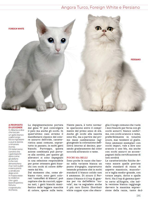 Ga Ma Dic 2022-Gen 2023 (4)