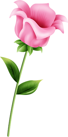 KBK_PrettyRabbit (82)