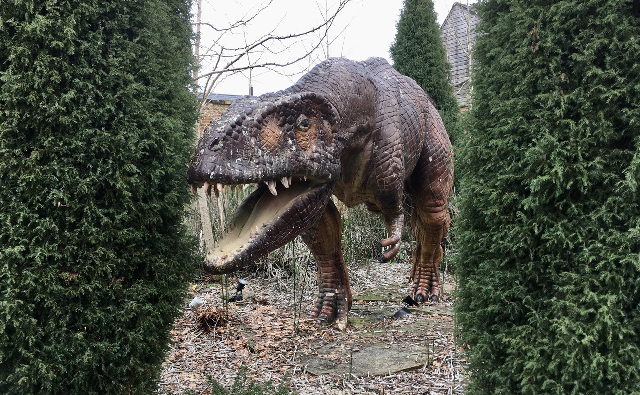 405E3225-A647-4A93-A78E-5674179DA681