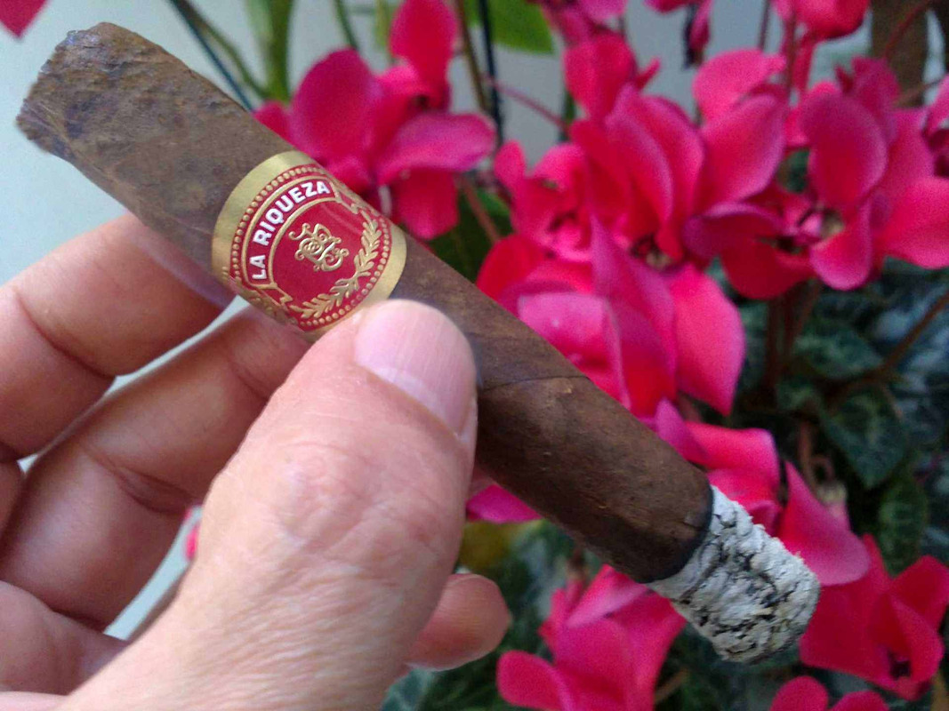 tatuaje la riqueza no.4b