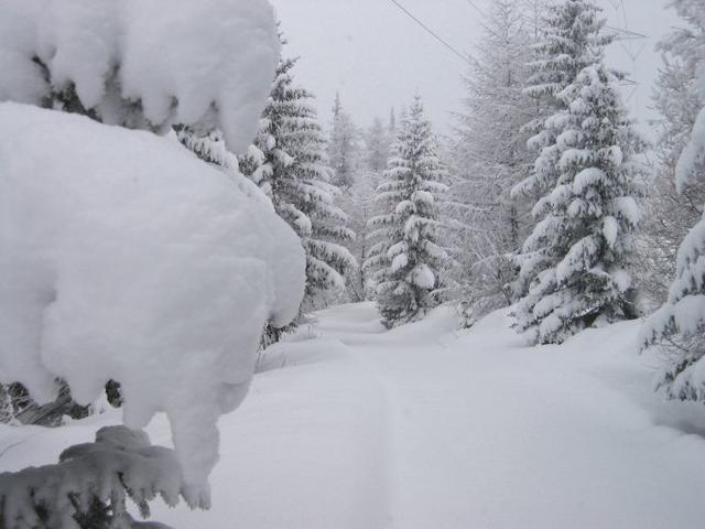 [Bild: 050388-NATALE-2002-165.jpg]