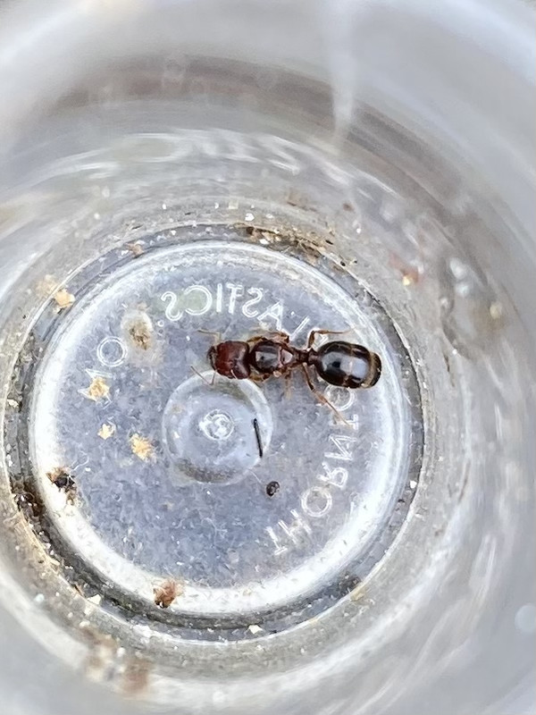 95A8600F-646C-4173-ACDC-A7CA87D08492