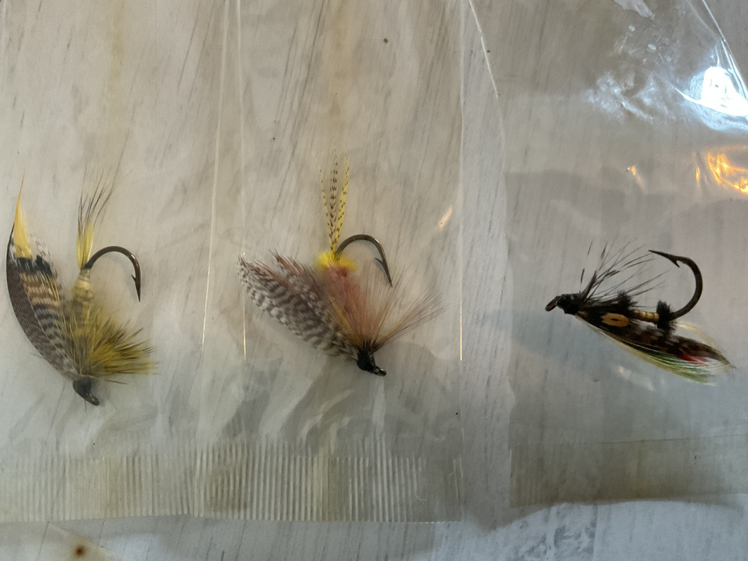 590185C4-EA32-4300-B874-89A2F490FB34