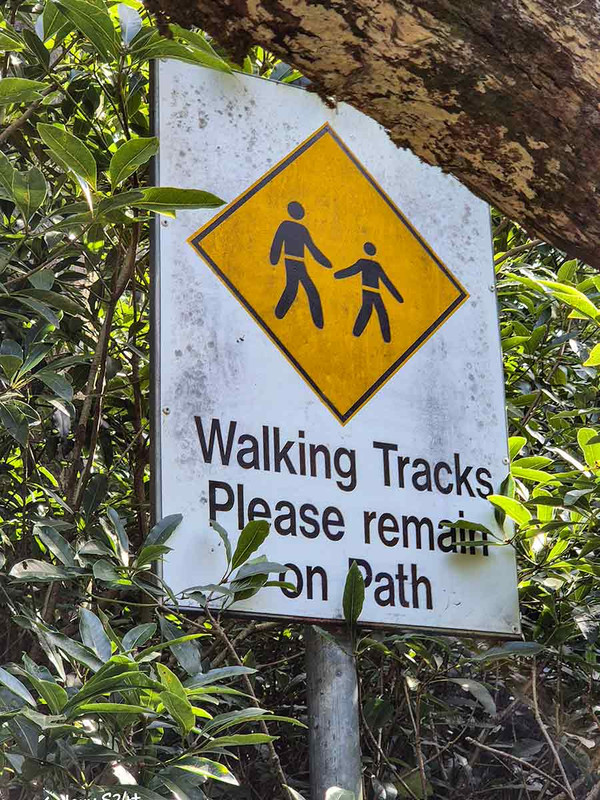 Follow the path