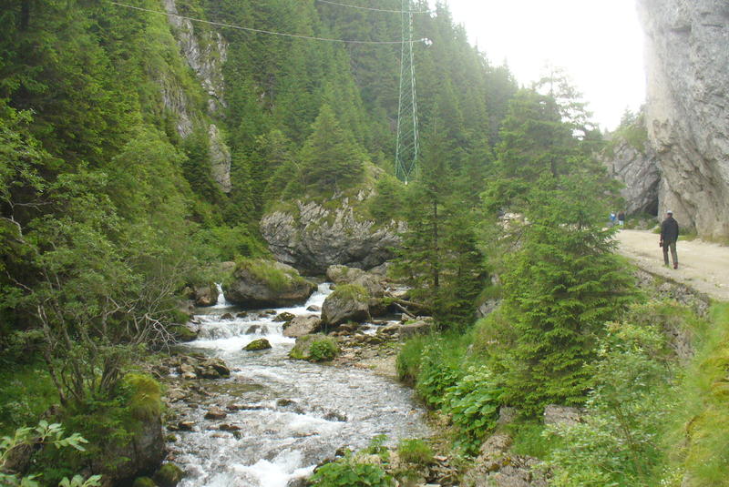 [Obrazek: P1280947.jpg]