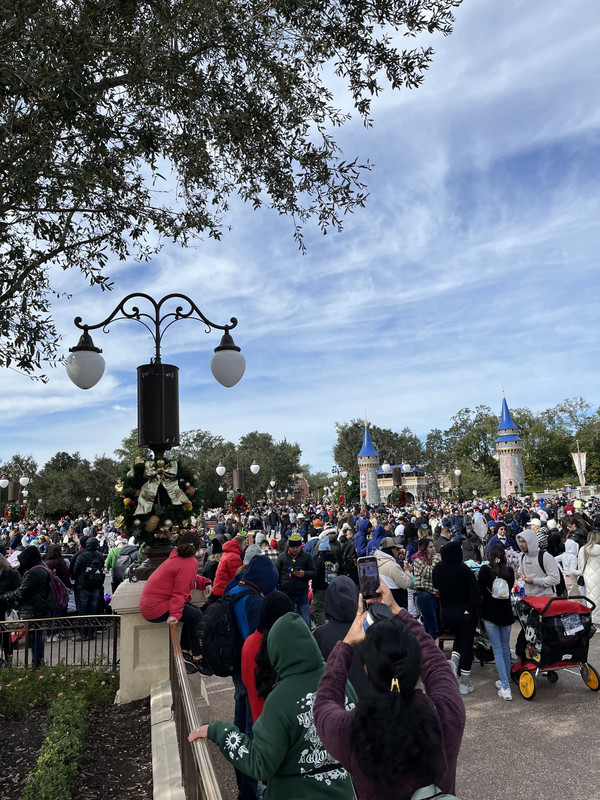 66B71C89-8ECA-4647-A1C8-94B729E1FE2A