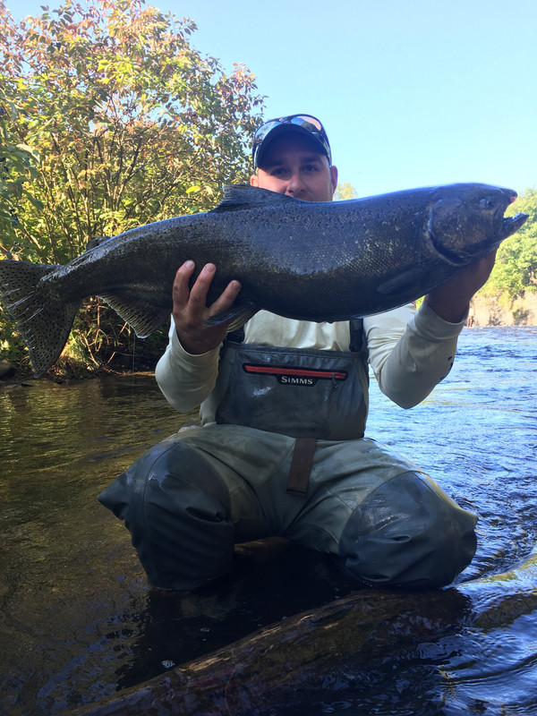 020BDBF3-0AD3-4761-B573-0CDEF6F67110