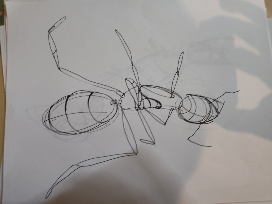 IMG_20240228_132202217