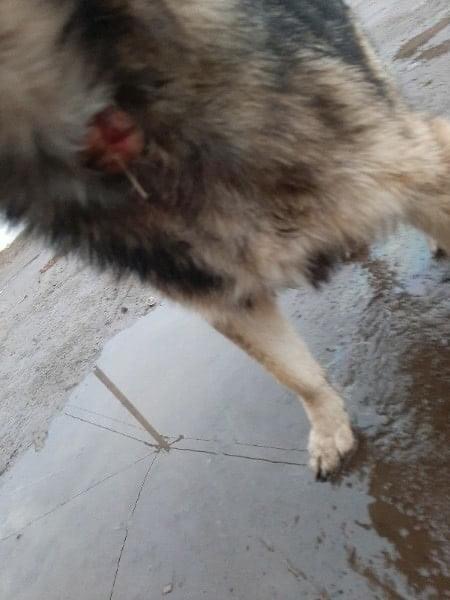 D01DC71F-094D-4BB7-9F9A-09C6A8C6EE31