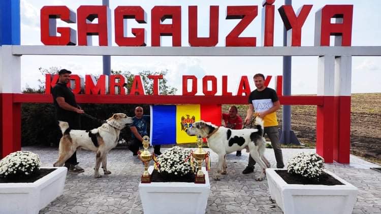 FE3008AD-0EB2-409D-BFB5-296F70205AF5