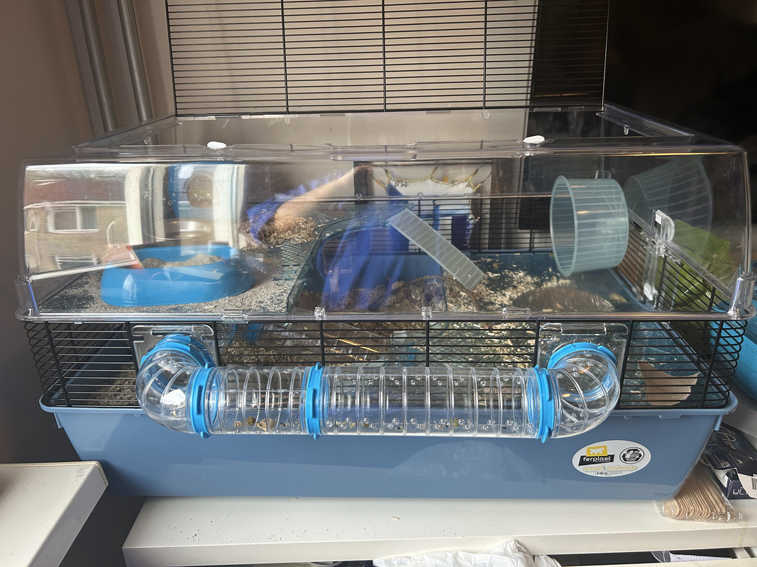 A0842D6D-BC57-47EF-9822-B2C2249CD8EC