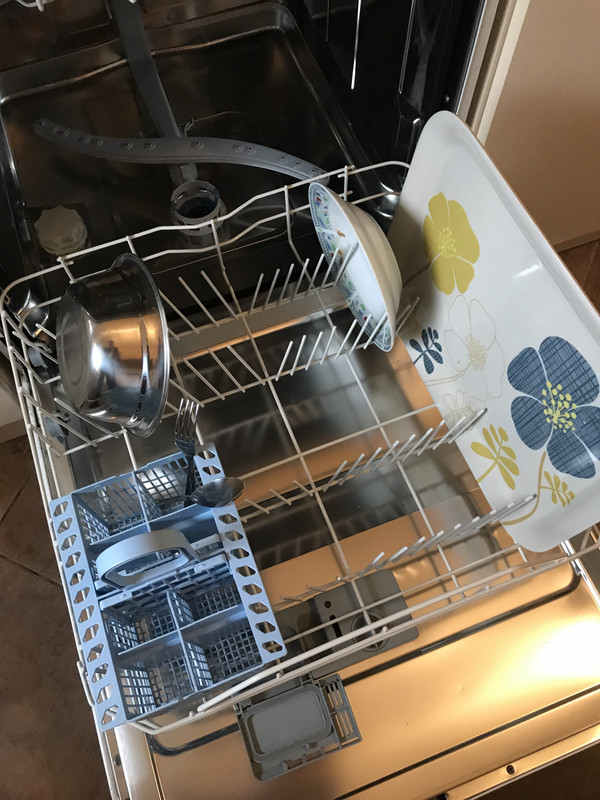 9B4E0EA2-2228-4869-8DD3-7FC11703D27E