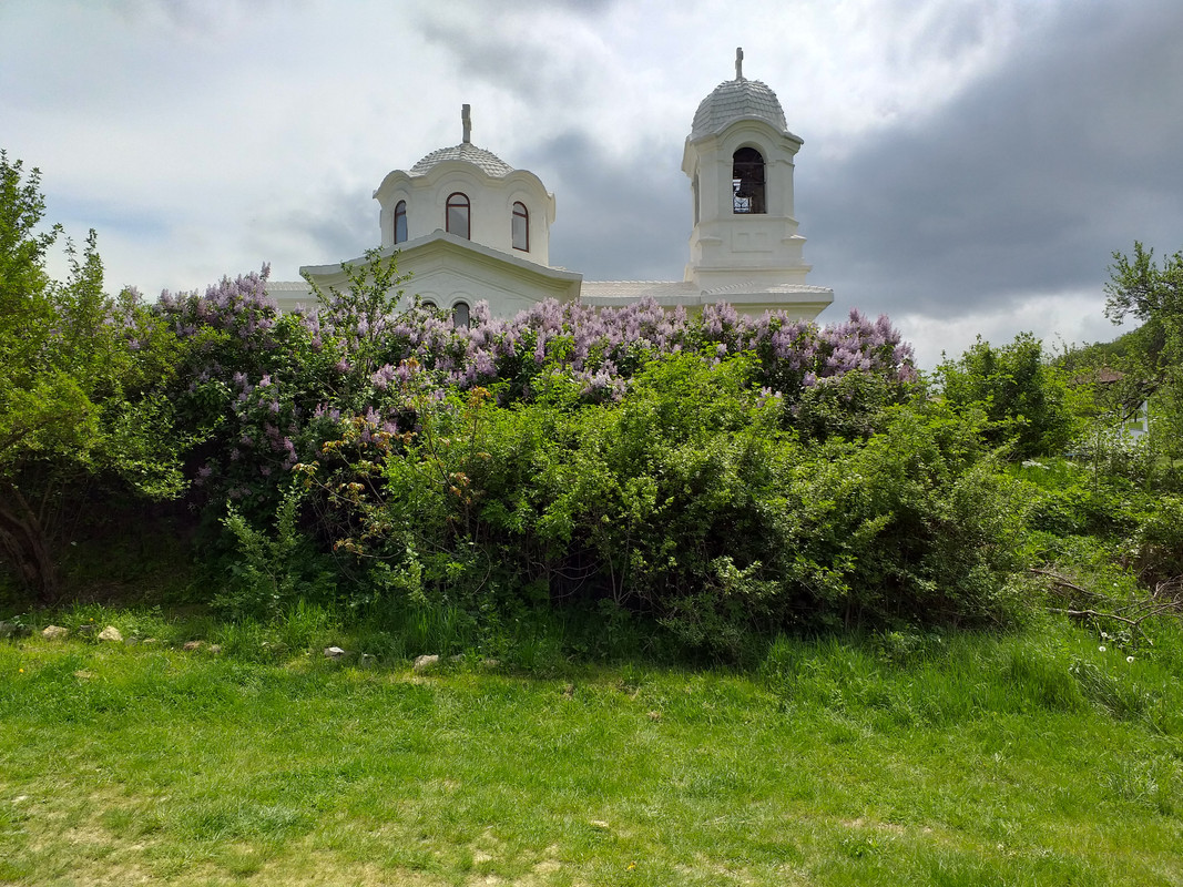 Лаки с Нюшей 005