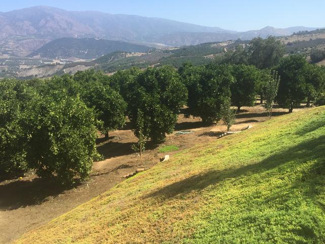 3F918041-2E39-47E5-8CB5-1DD5FA75B59E