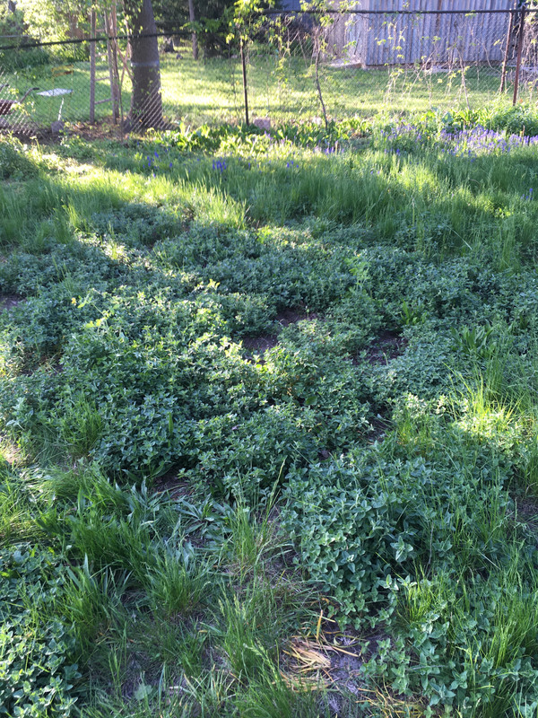 2E69252D-EE3F-46C2-BF57-B718831F1C90