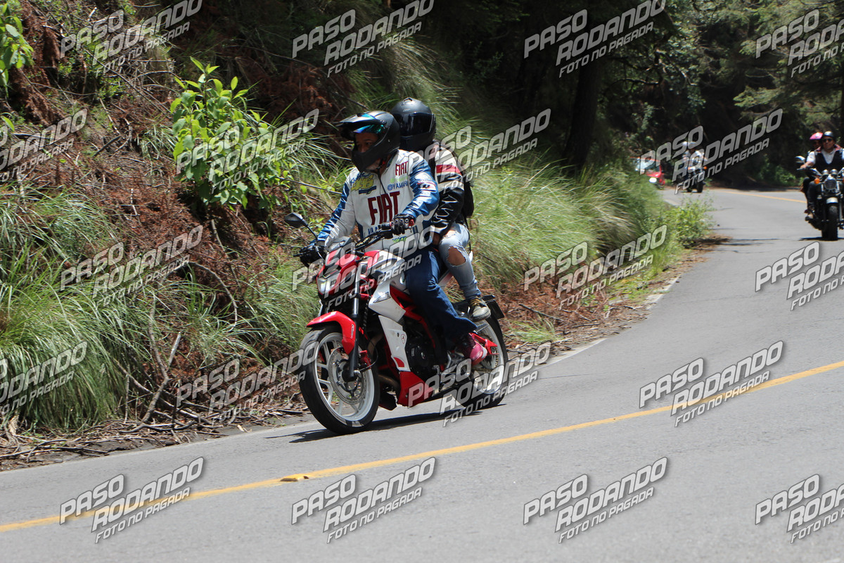 IMG 1594 wm 902906 8 watermarked — Postimages