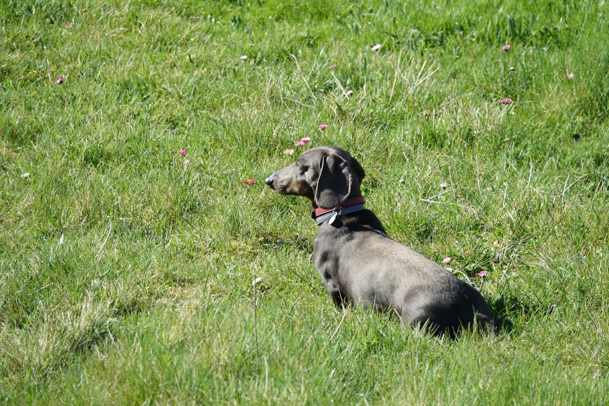 [Image: DSC01363.jpg]