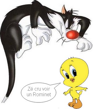 rominet.jpg