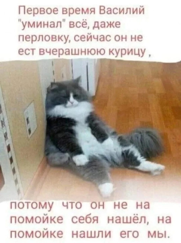 c61cb2cc-8912-4429-827d-449e70523709