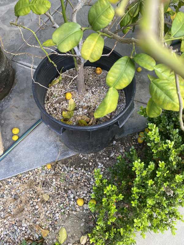 A5DFBF65-E6D9-483C-9839-3B24D023507C