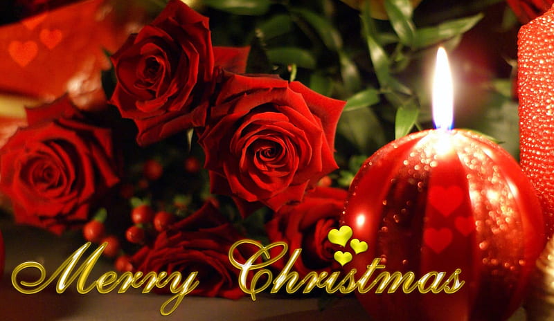 HD-wallpaper-happy-holidays-red-art-holidays-graphy-christmas-flowers-roses-wishes