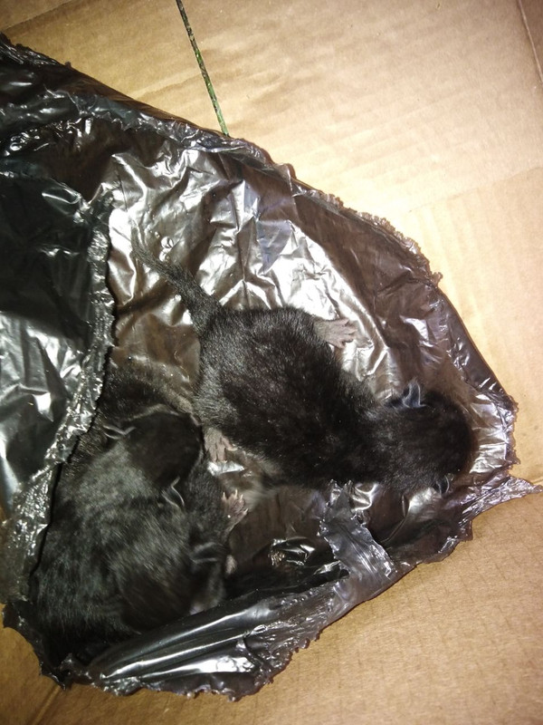 E5ED317B-B312-4C52-A902-F5D9BDAF30F1