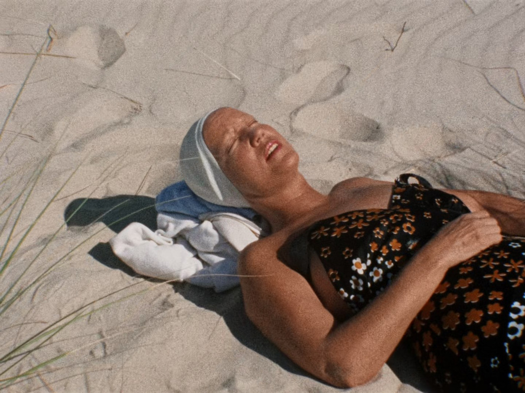 Grey Gardens (1975) (1080p BluRay x265 Silence)-7