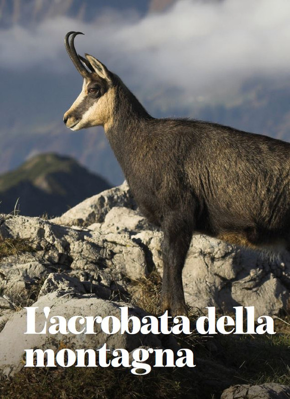 melaverde Feb 2022 (1)