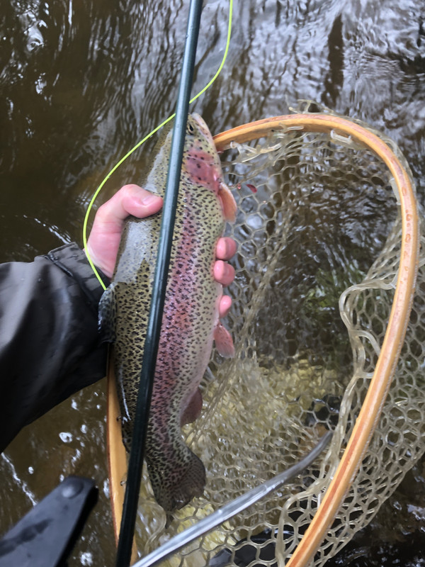 5F5DA42F-4D94-4C5B-B66A-AF1AFAD51797