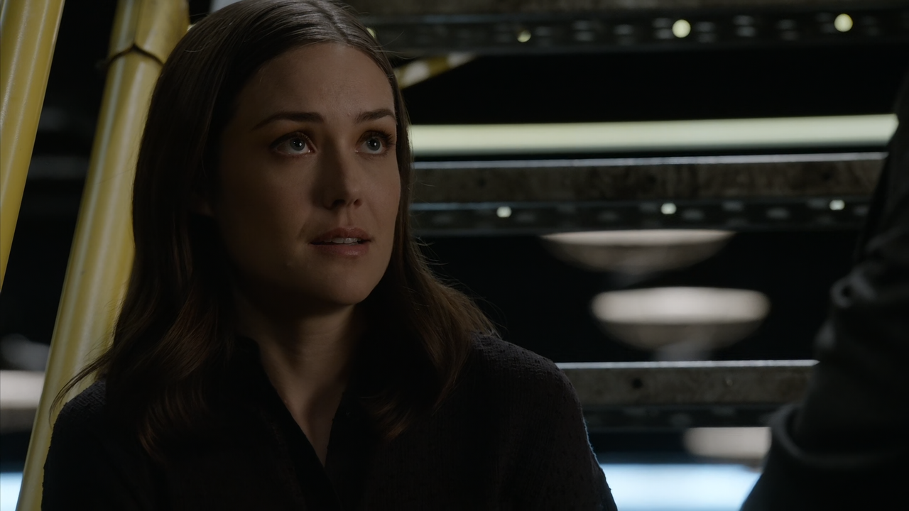 The.Blacklist.S07E01.Louis.T.Steinhil.(1).1080p.10bit.AMZN.WEB-DL.AAC5.1.HEVC-Vyndros.mkv_snapshot_4