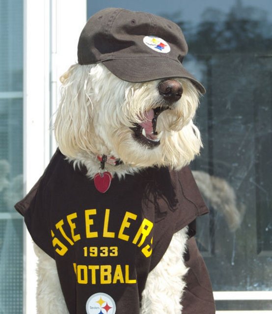 steelersfan1.jpg