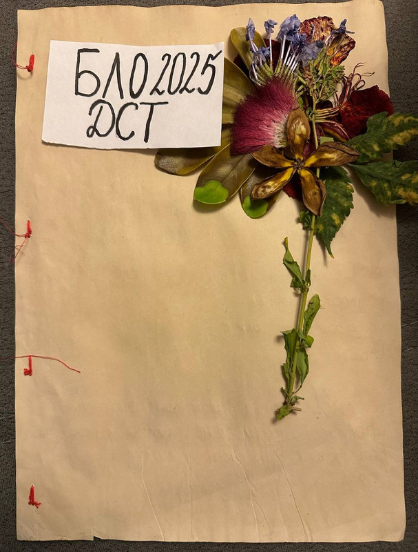 Гербарий процесс 1