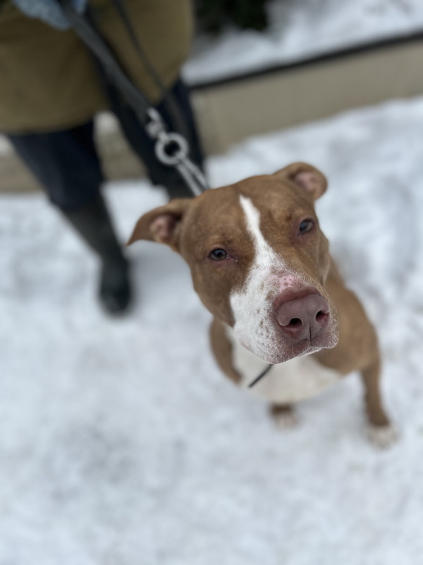 01DBB753-C51B-4723-BE4F-CDE48F10B5B1