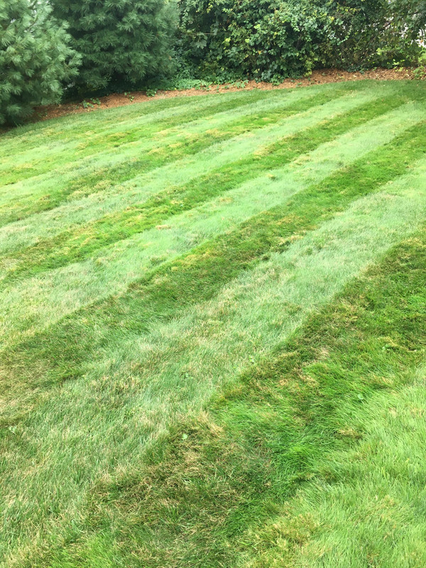 51EB5544-3B80-46FF-B6FC-949CEE758068