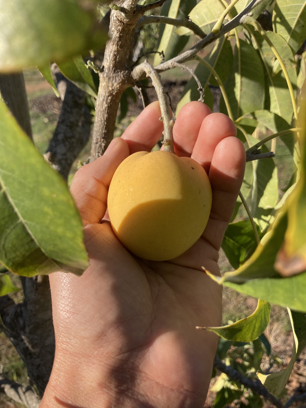 345F1CD4-C80A-4ED1-978B-1CA33ED07D53