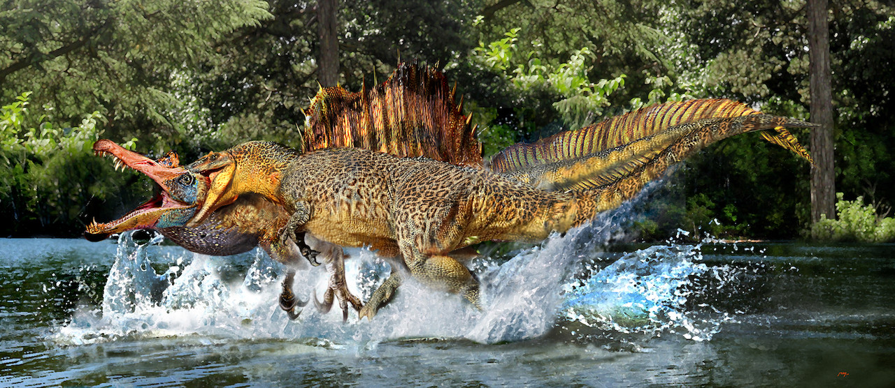 spino-carcharodonto-copy