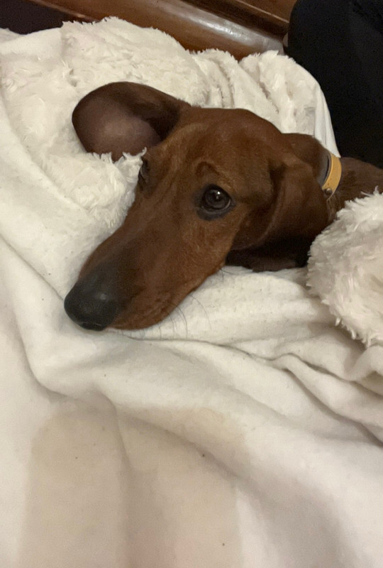 [Image: IMG-20241201-092139.jpg]