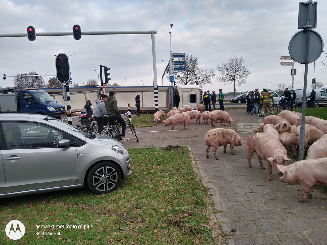 IMG_20201125_134212193_HDR